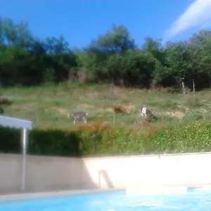  Appartement Les Tilleuls